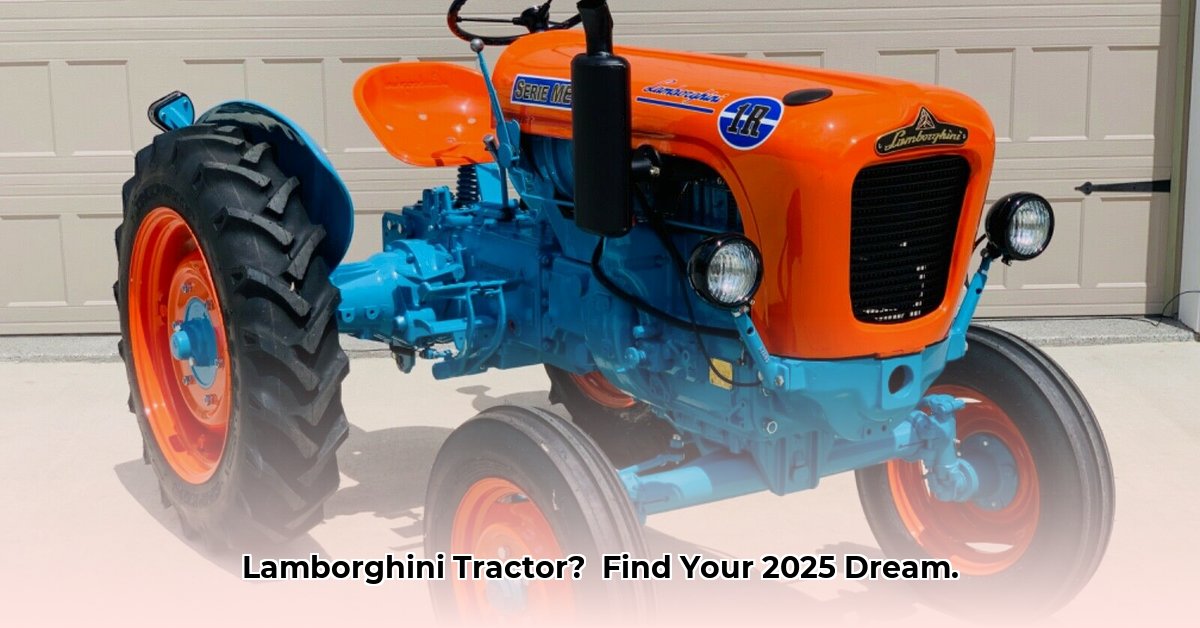 tractor-lamborghini